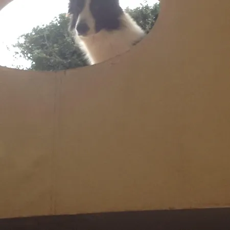 Domus Felix Bed & Breakfast Sorrento