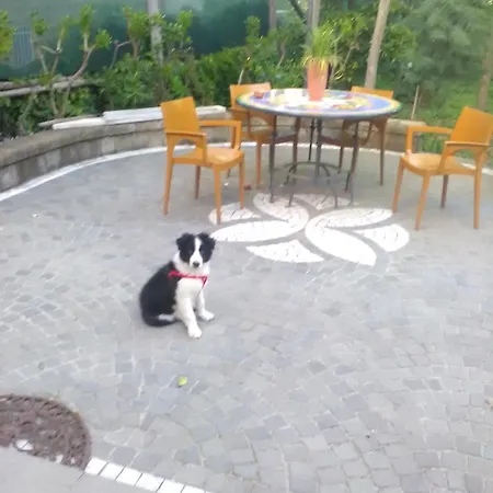 Bed & Breakfast Domus Felix 3*